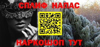индика Владивосток