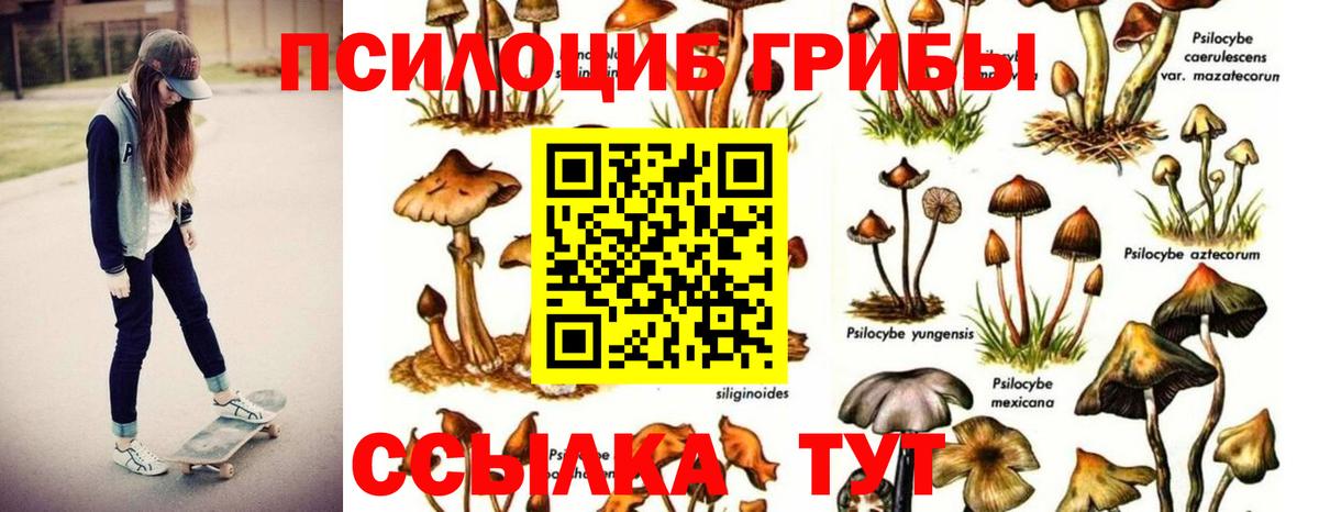 Вышний Волочёк  Галлюциногенные грибы мухоморы  Вход с VPN 